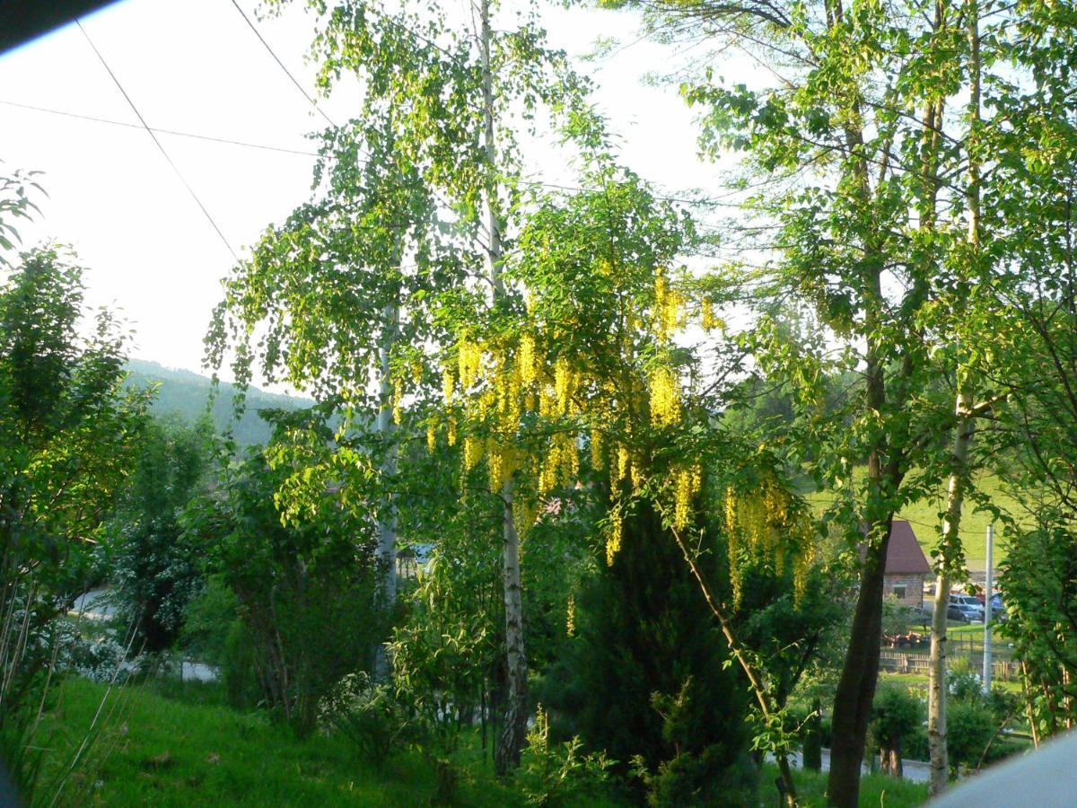 Stara Plebania *